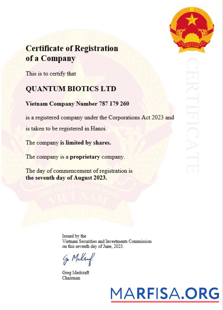 Realistic Vietnam business registration certificate Word and PDF template